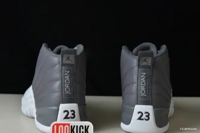 JORDAN STEALTH 12 AIR CT8025-610 0706